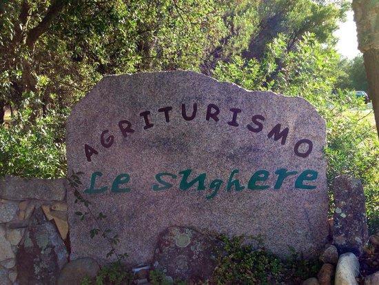 Le Sughere Padru Ngoại thất bức ảnh